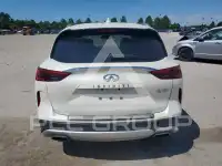 2019 Infinity QX50 photo
