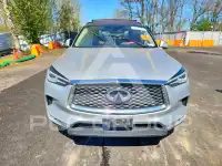 2019 Infinity QX50 photo