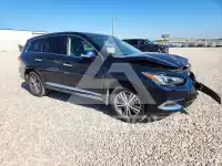 2019 Infinity QX60 photo