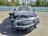 2019 Infinity QX60 photo