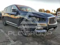 2019 Infinity QX60 photo