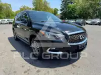 2019 Infinity QX60 photo