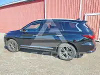 2019 Infinity QX60 фото