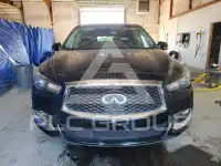 2019 Infinity QX60 photo