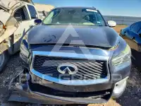 2019 Infinity QX60 photo