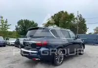 2019 Infinity QX80 photo