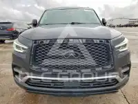 2019 Infinity QX80 photo