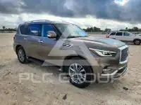 2019 Infinity QX80 photo