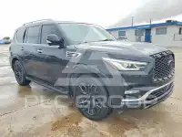 2019 Infinity QX80 photo