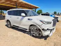 2019 Infinity QX80 photo