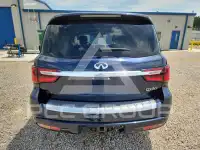 2019 Infinity QX80 photo