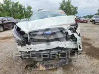 2019 Subaru Forester фото