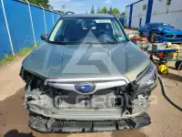 2019 Subaru Forester photo