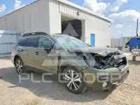 2019 Subaru Outback фото