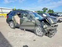 2019 Subaru Outback фото