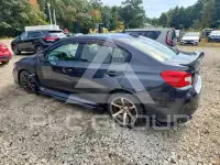 2019 Subaru WRX фото