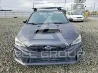 2019 Subaru WRX photo