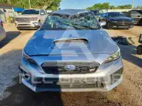 2019 Subaru WRX фото