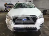 2019 Subaru ASCENT фото