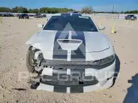 2019 Dodge CHARGER фото