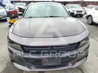 2019 Dodge CHARGER фото