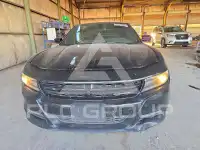 2019 Dodge CHARGER фото