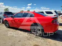 2019 Dodge CHARGER photo