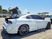 2019 Dodge CHARGER photo