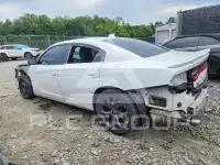 2019 Dodge CHARGER photo