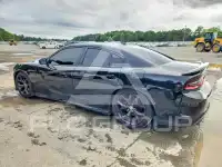2019 Dodge CHARGER фото