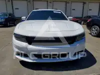 2019 Dodge CHARGER photo