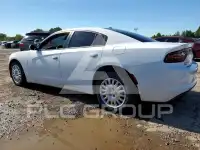 2019 Dodge CHARGER photo