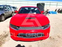 2019 Dodge CHARGER photo