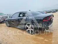 2019 Dodge CHARGER фото
