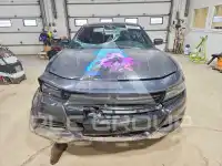 2019 Dodge CHARGER фото