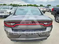 2019 Dodge CHARGER фото