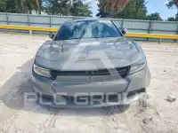 2019 Dodge CHARGER фото