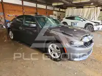 2019 Dodge CHARGER фото