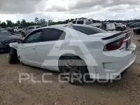 2019 Dodge CHARGER фото