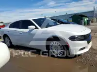2019 Dodge CHARGER photo