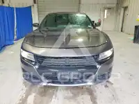 2019 Dodge CHARGER фото