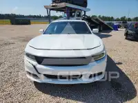 2019 Dodge CHARGER фото