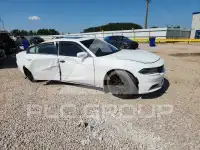 2019 Dodge CHARGER фото