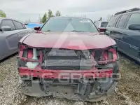 2019 Dodge CHARGER фото