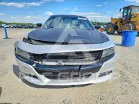 2019 Dodge CHARGER photo