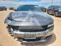 2019 Dodge CHARGER фото