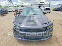 2019 Dodge CHARGER фото