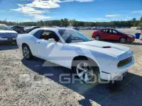 2019 Dodge CHALLENGER photo