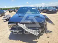 2019 Dodge CHALLENGER photo