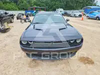 2019 Dodge CHALLENGER photo